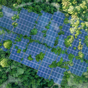 El mercado de la energía en España y el autoconsumo